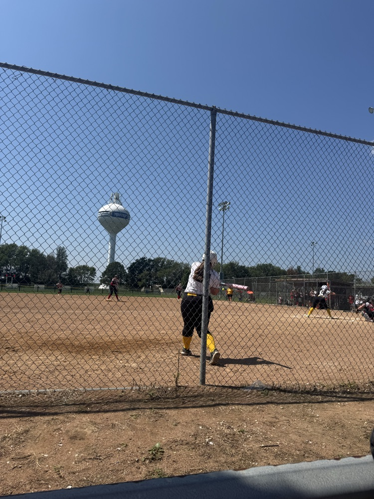 wildcats softball