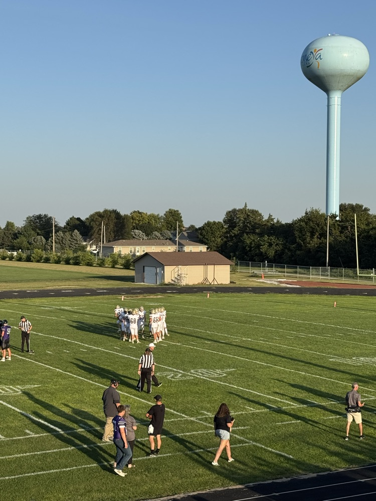 Lion football