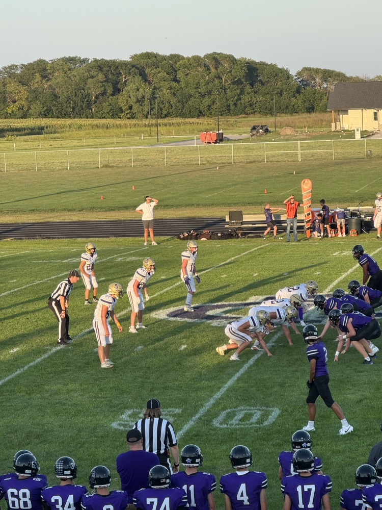 Lion football