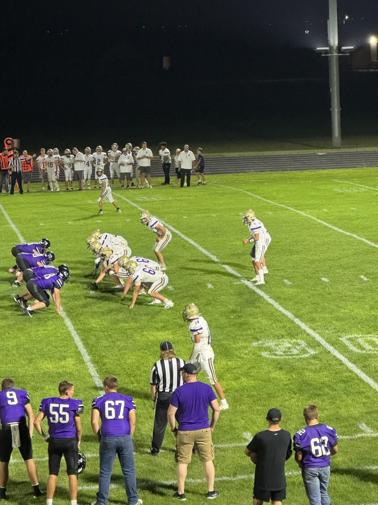Lion football