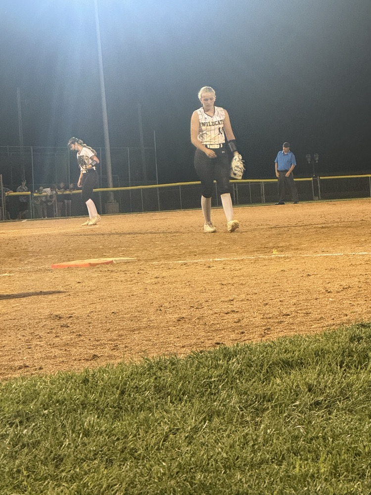 Cass wildcats softball