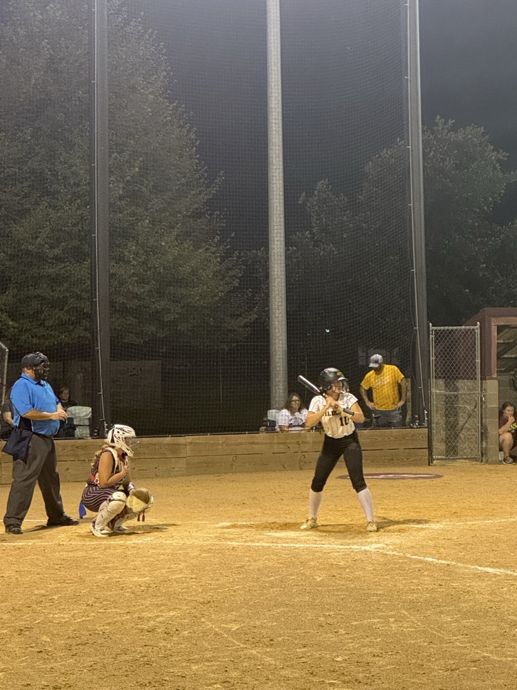Cass wildcats softball