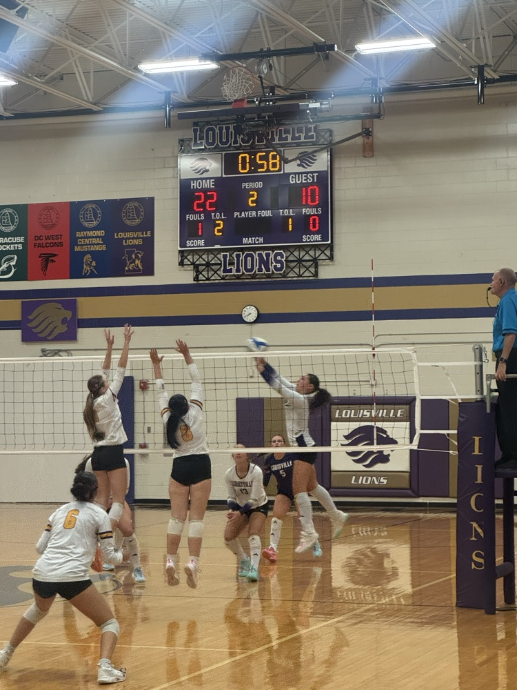 lion volleyball 