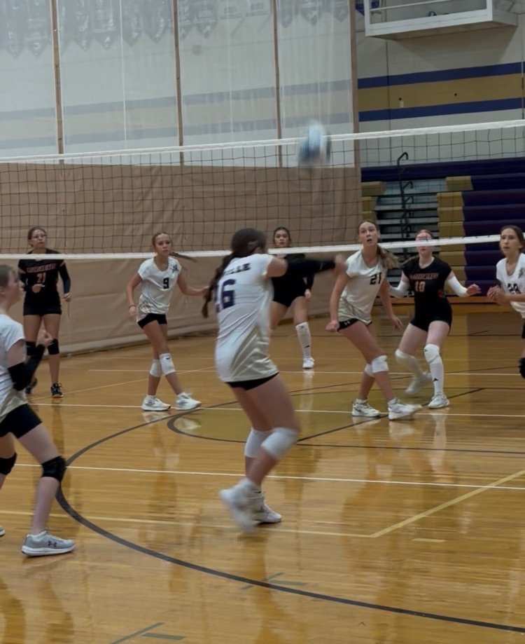 Junior high volleyball
