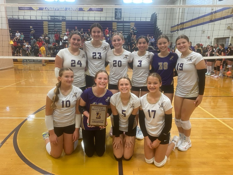 Junior high volleyball