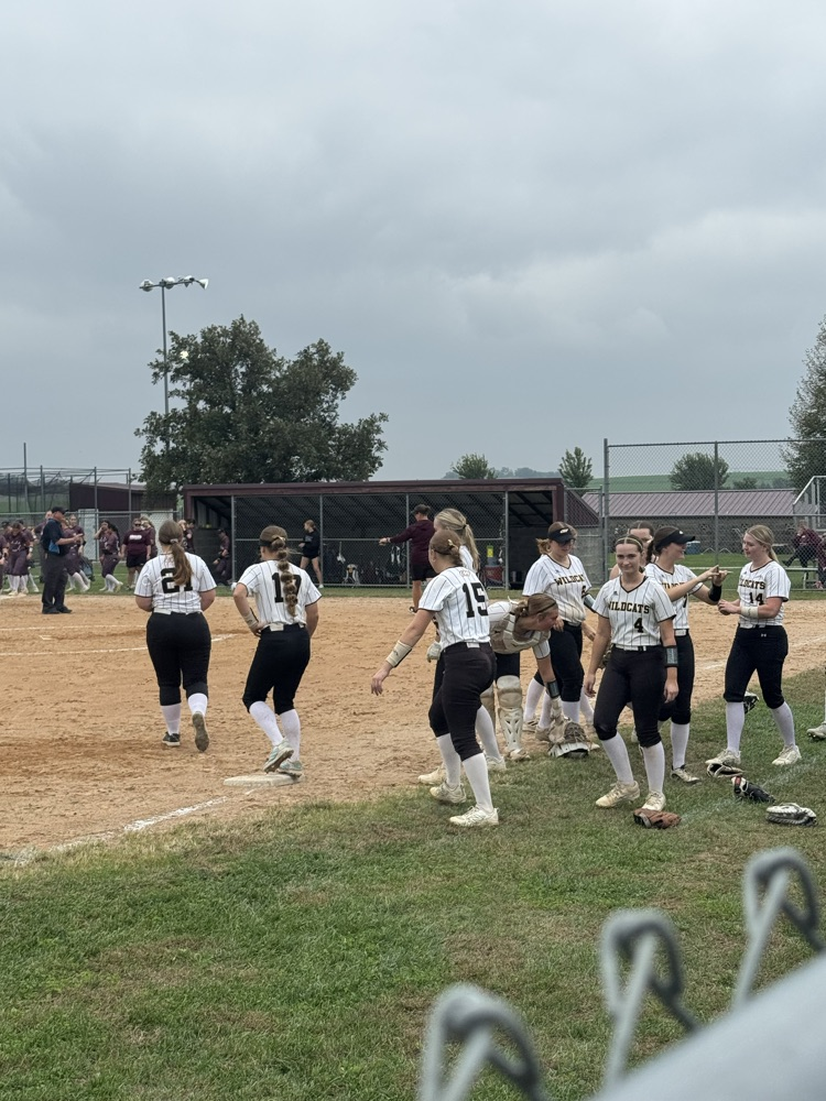wildcat softball