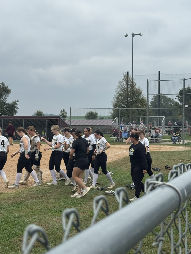 wildcat softball