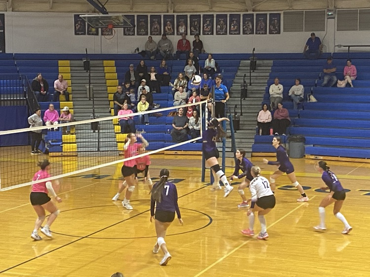 Lion volleyball
