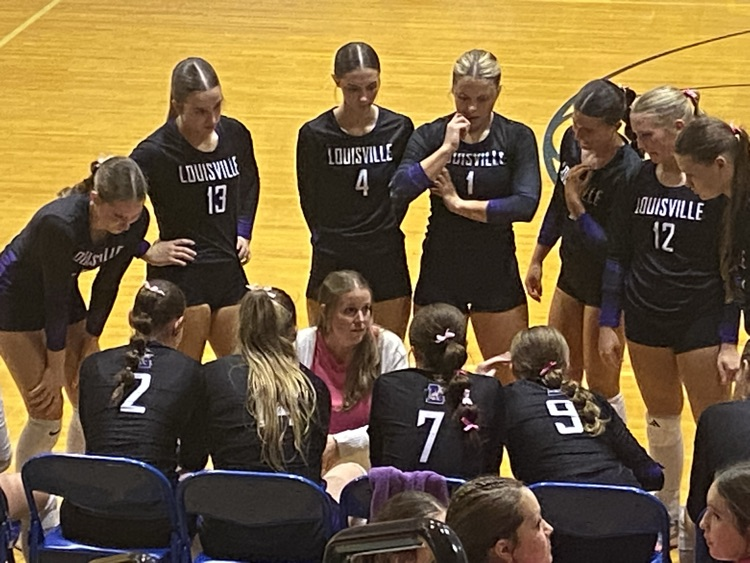Lion volleyball
