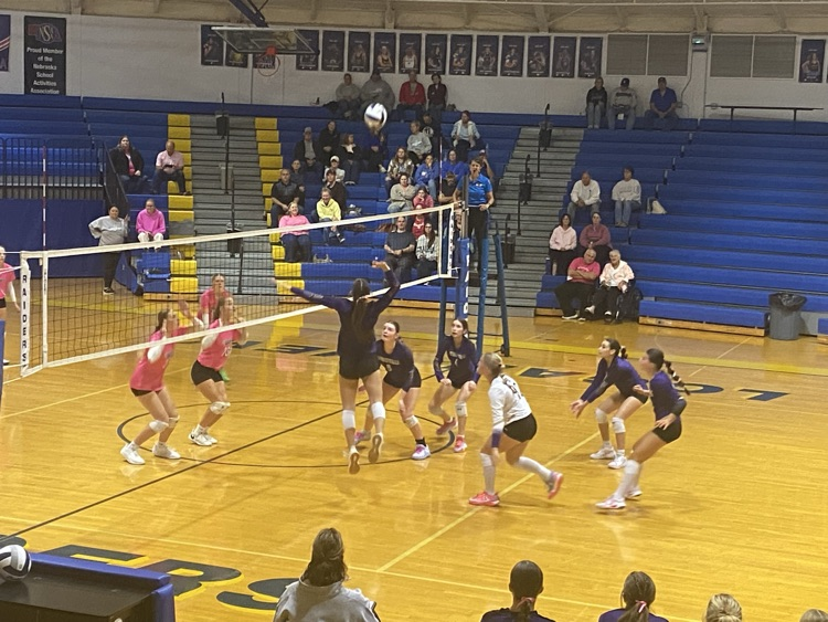 Lion volleyball