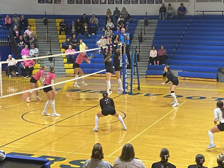 Lion volleyball
