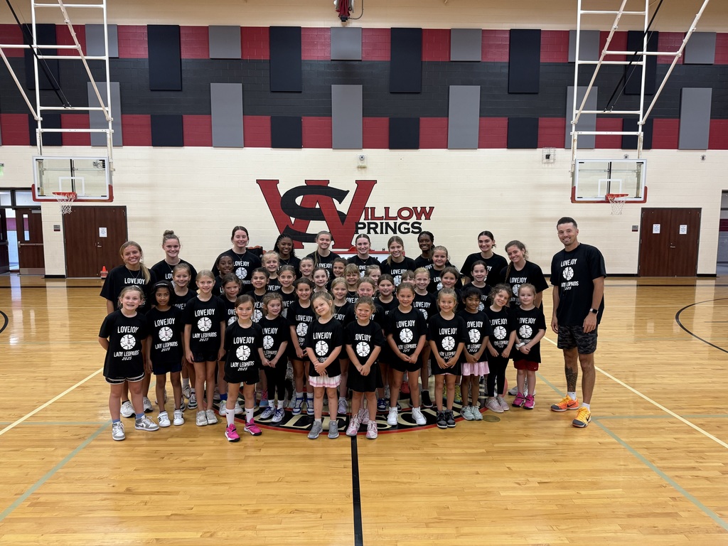 Girls Basketball Camp