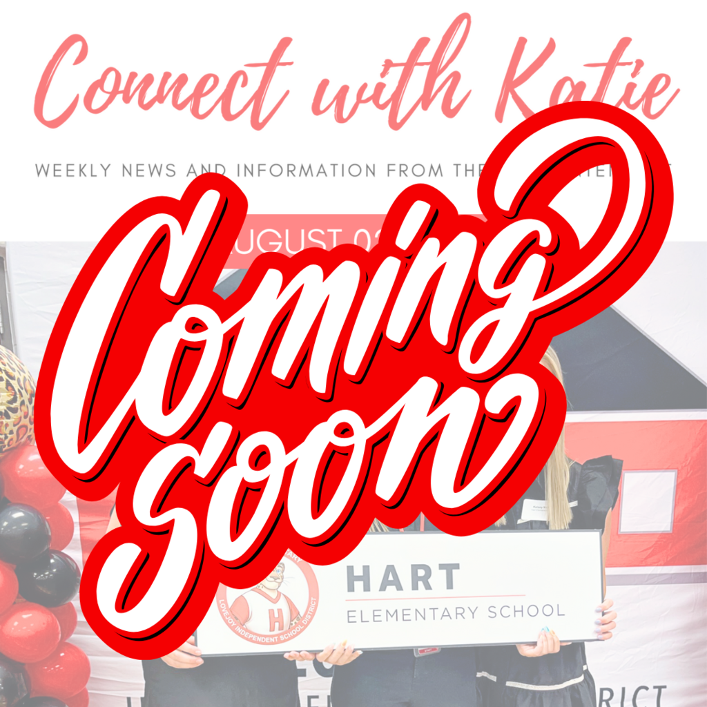 Connect with Katie Coming Soon