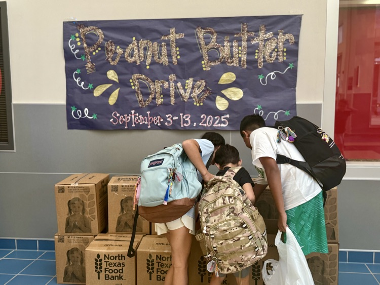 PB drive