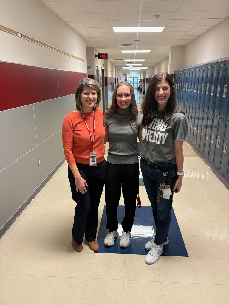 Substitute Professional Day