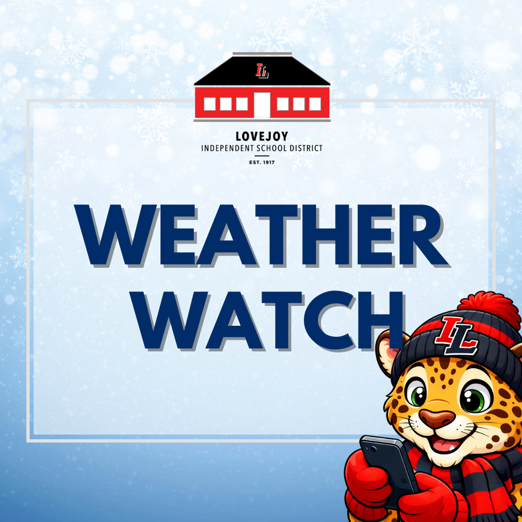 Weather Watch - Picture of Leopard looking at phone for weather updates