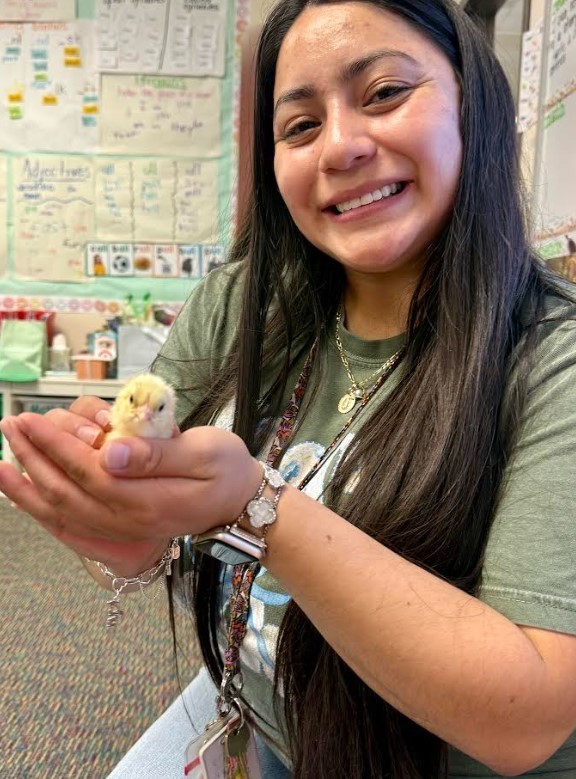 chicks