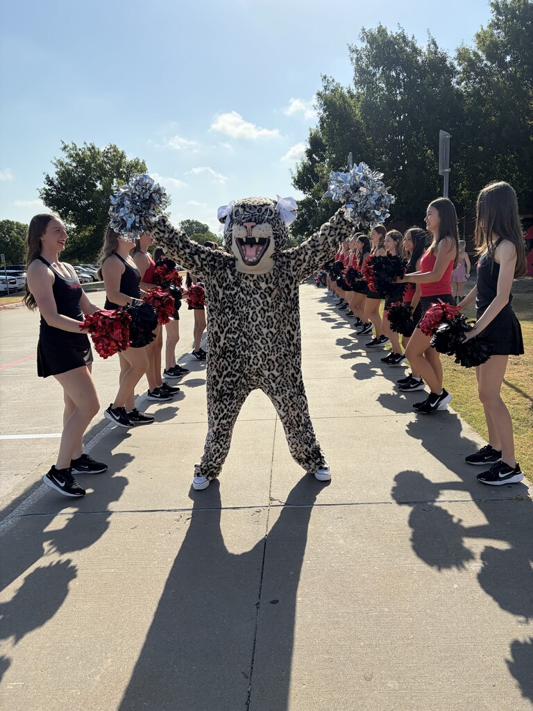 Cheerleaders in black uniforms, one in a mascot costume, stand in a row on a sidewalk.