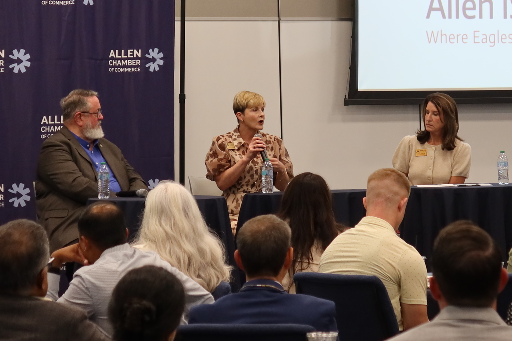 Three people speak at a conference; one woman stands at a podium, two sit. Audience of 12 people.