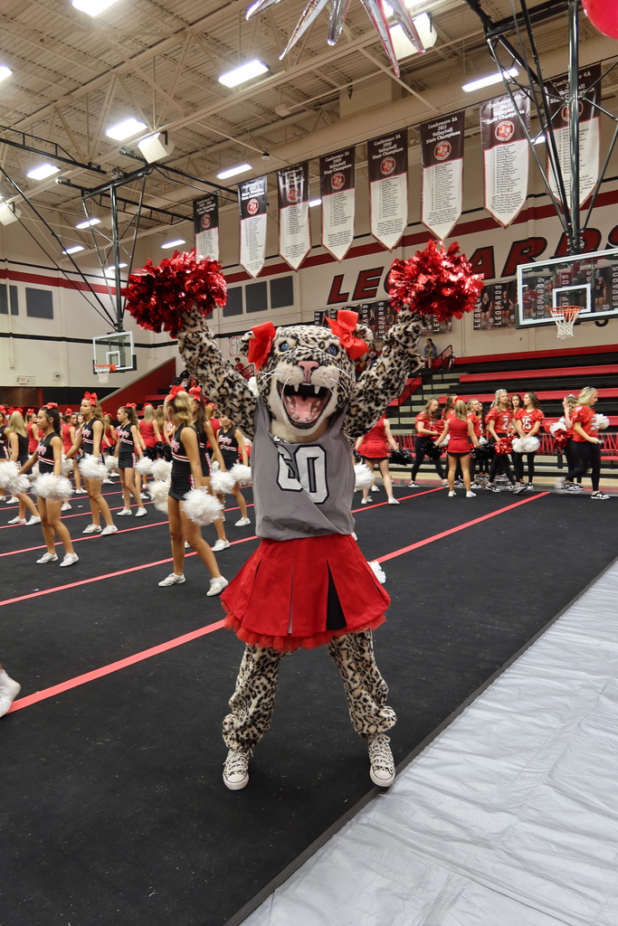 A mascot dressed in a leopard costume and red skirt performs in a gymnasium. Behind, cheerleaders stand in a line.