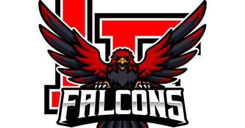 Loving Falcon bird image