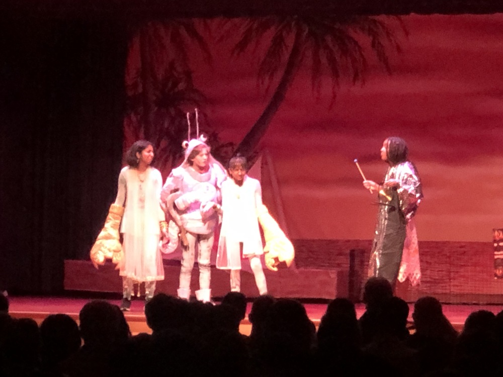 Moana  Play Picture