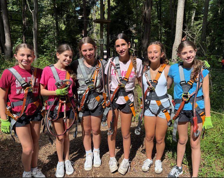 Group TreeTrails