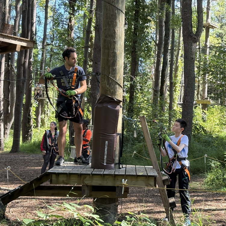 TreeTrails Adventures trees