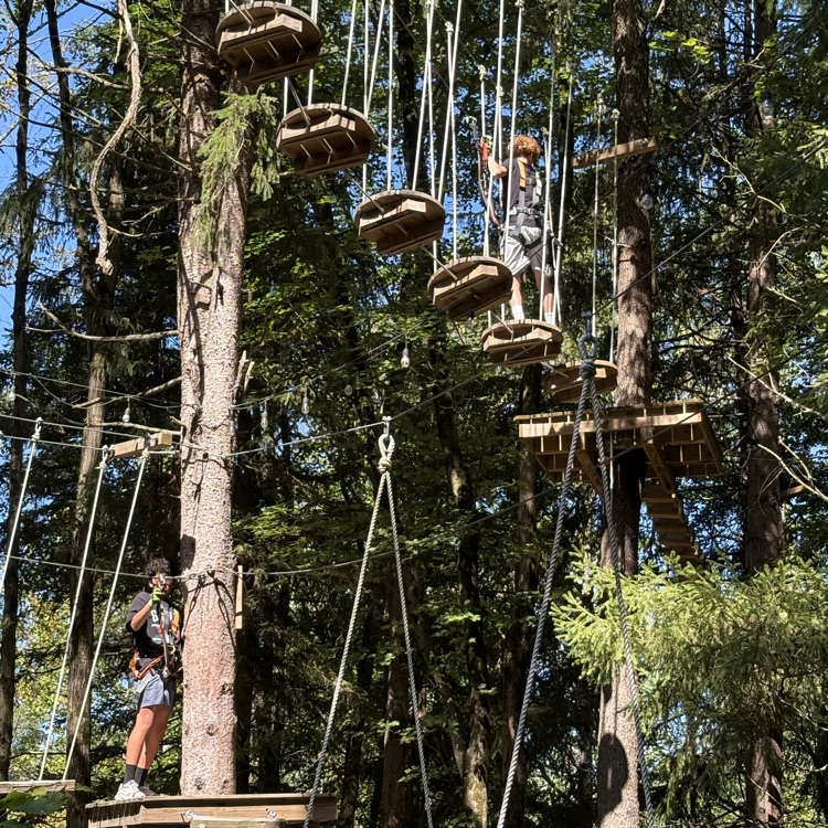 trees 2