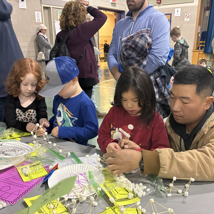 stem night