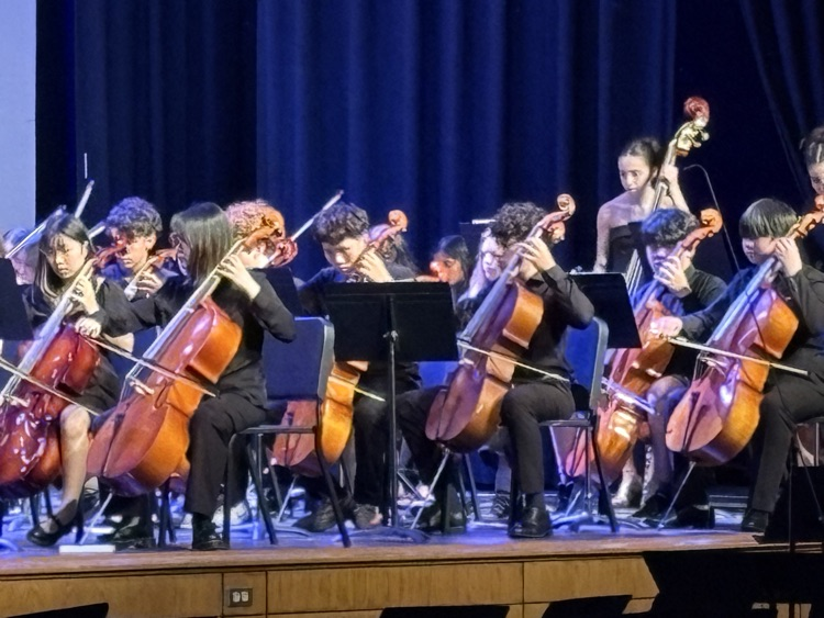 cellos