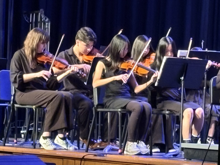 violins