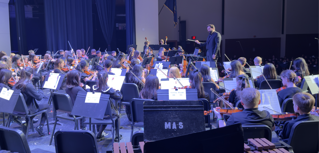 Orchestra
