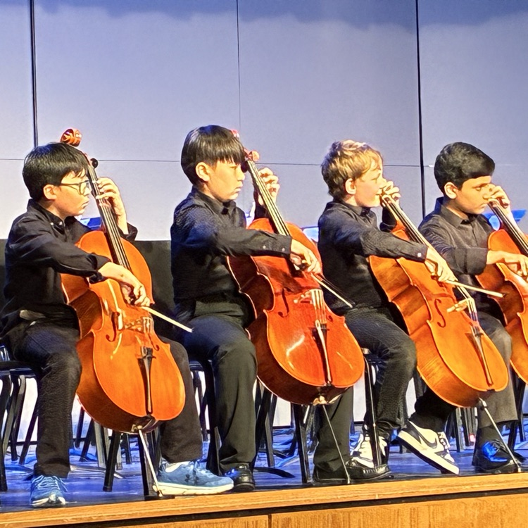 Orchestra