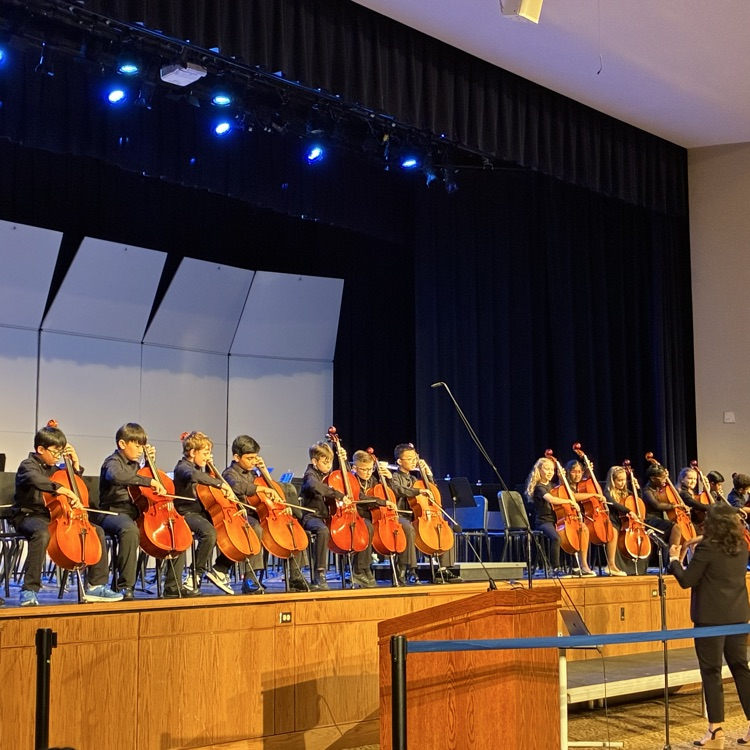 Orchestra
