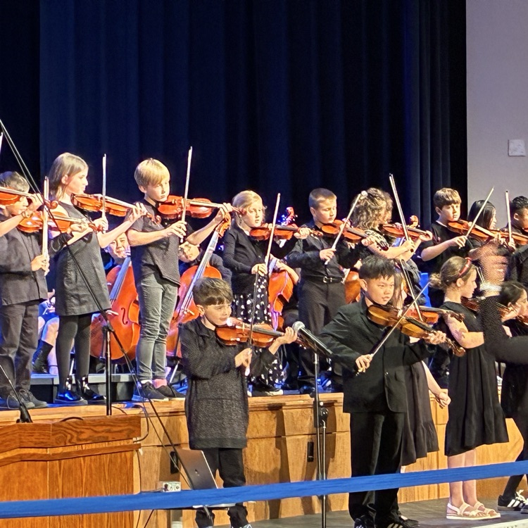 Orchestra