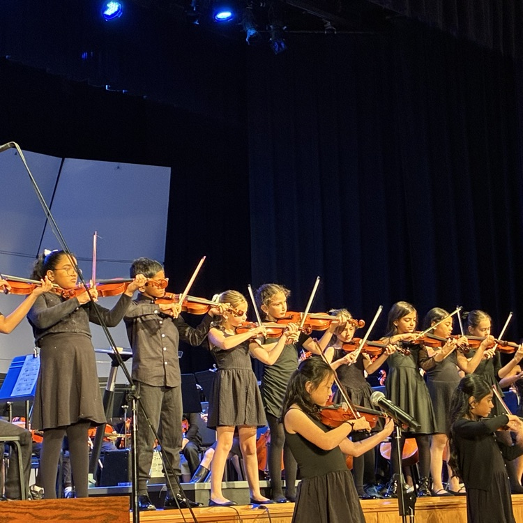 Orchestra