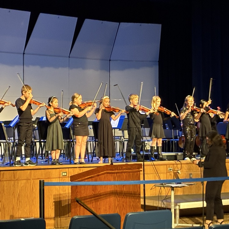 Orchestra