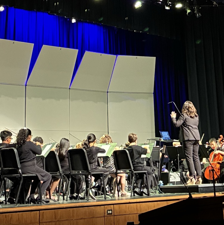 Orchestra