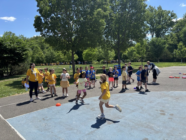 field day
