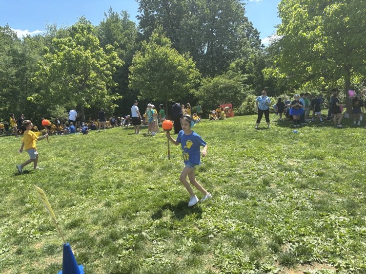 field day
