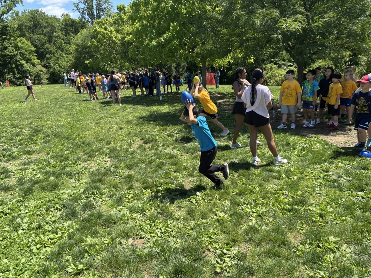 field day