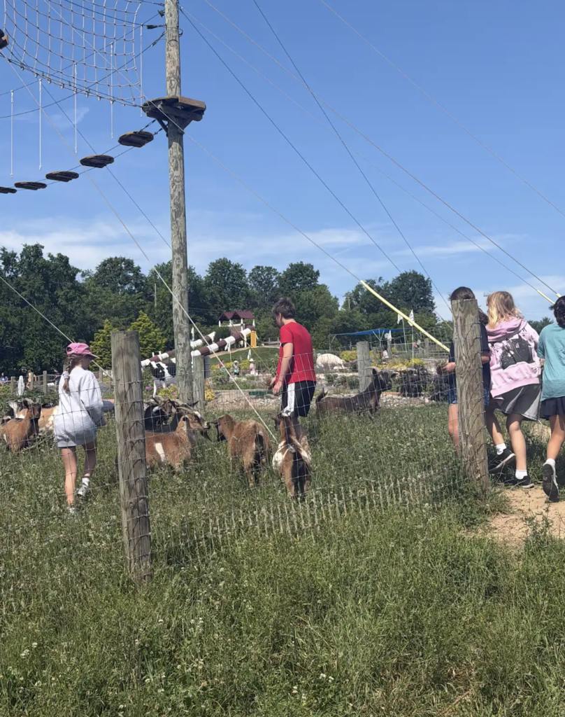 Farm3