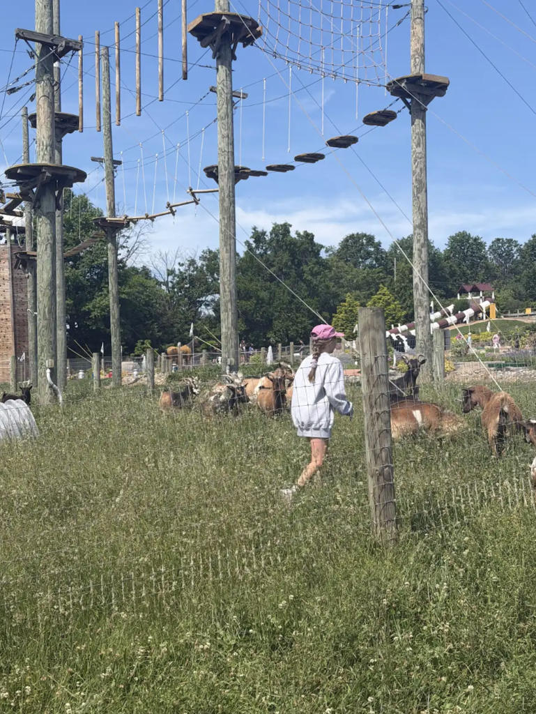 Farm4