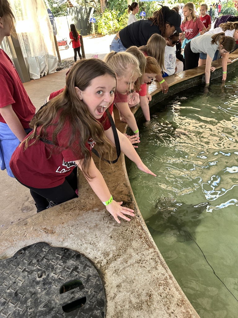 4th grade zoo trip