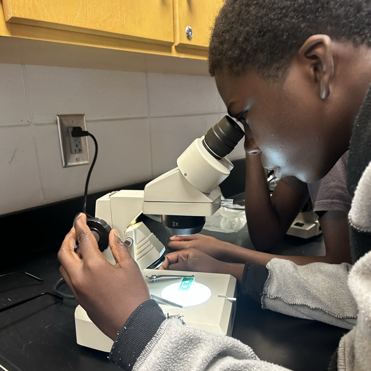 student using microscope 