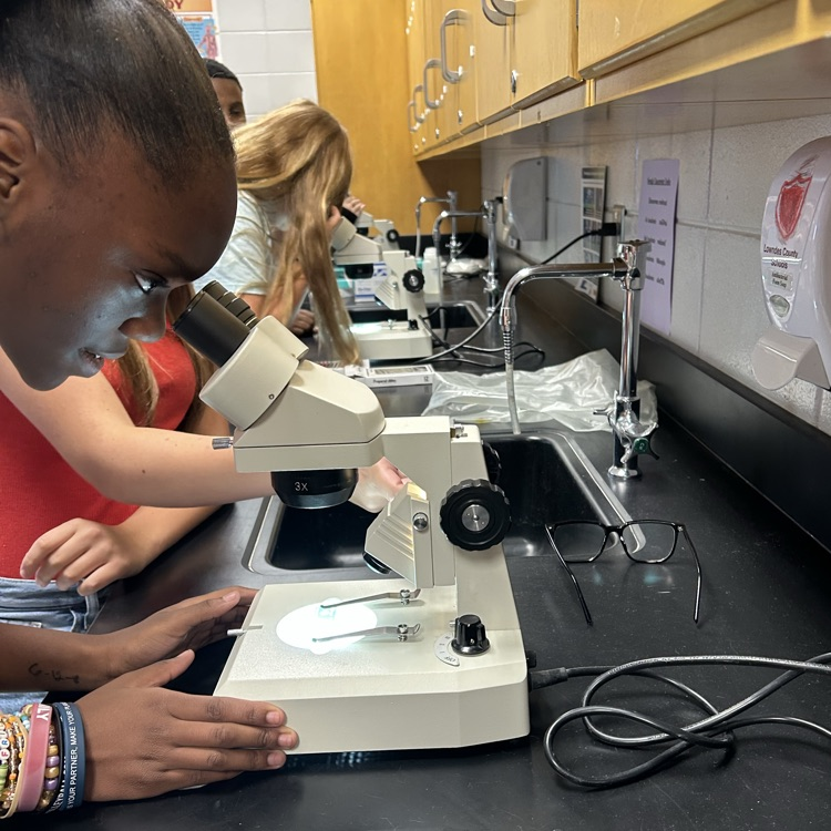 student using microscope 