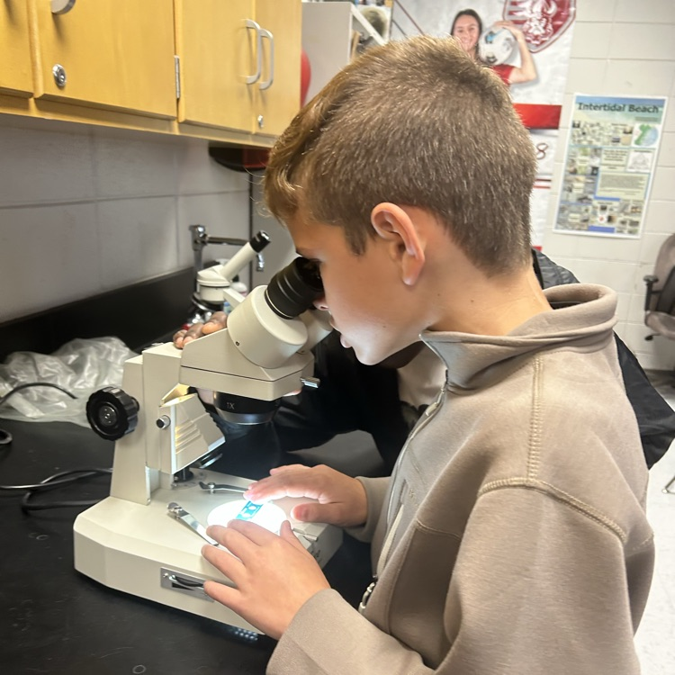 student using microscope 