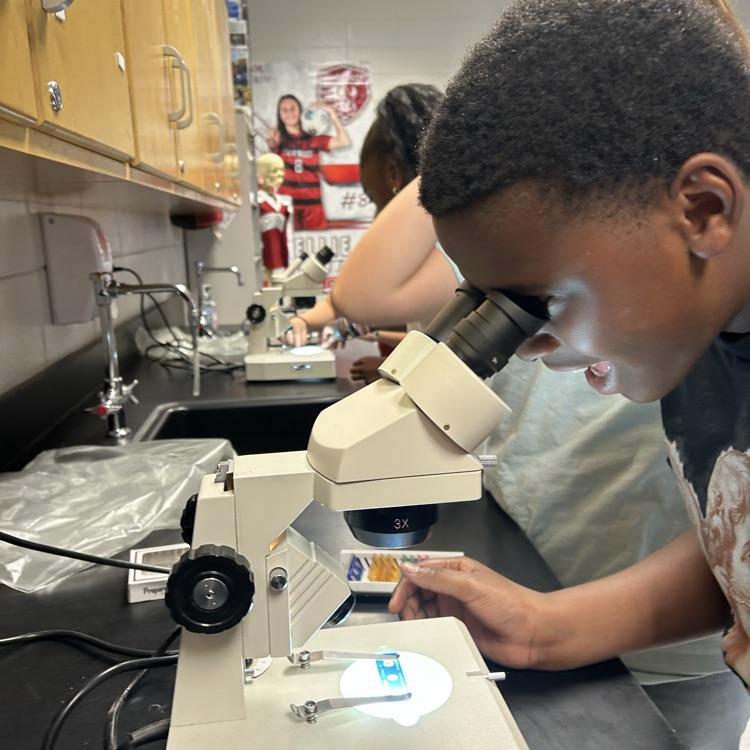student using microscope 