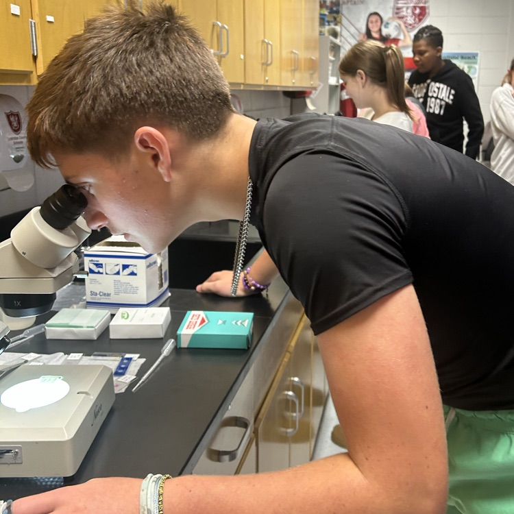 student using microscope 